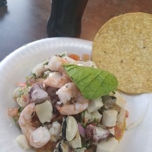 Meet your Posher, Ephesia